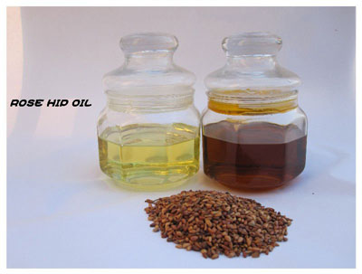 Rosehip Seed Oil