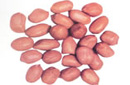 Peanut Kernels - Red Skin and Blanched