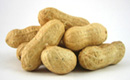 Peanuts in Shell - Raw and Roasted