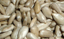 Sunflower Kernel