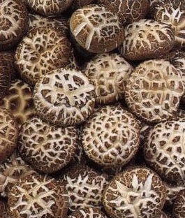 Dried Edible Mushrooms