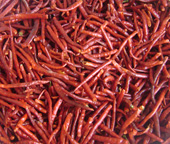 Yunan Chilli