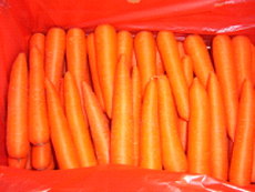 fresh carrots