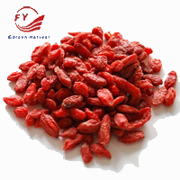 goji berry